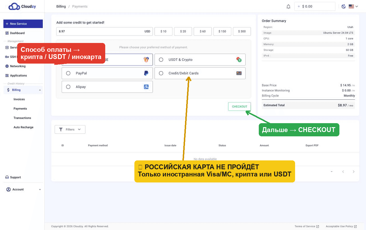 Способы оплаты Cloudzy