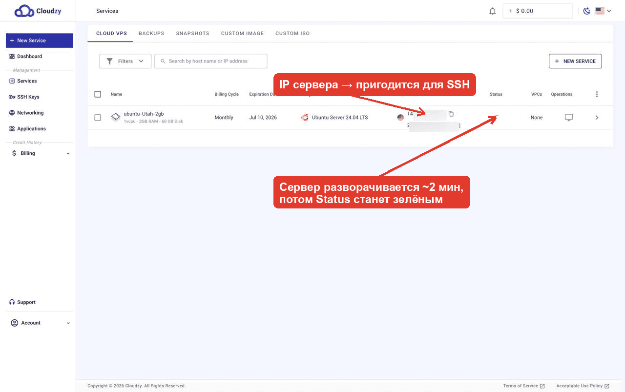 Сервер в панели Cloudzy